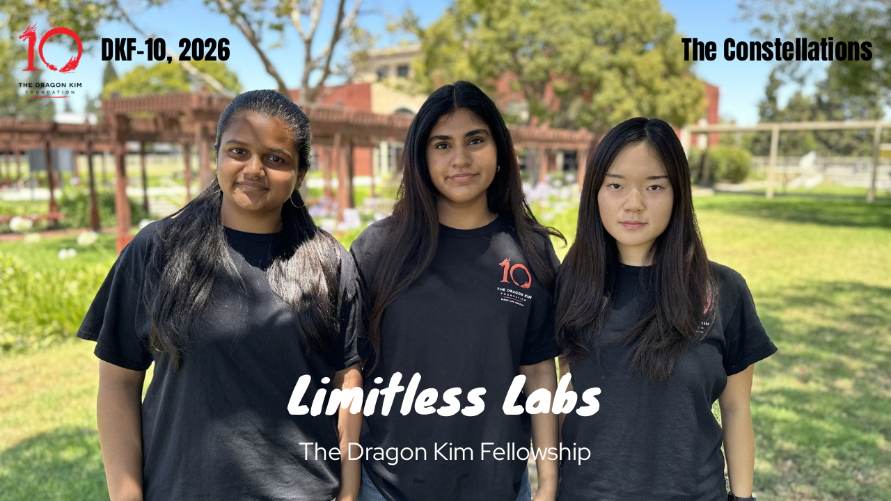 Limitless Labs