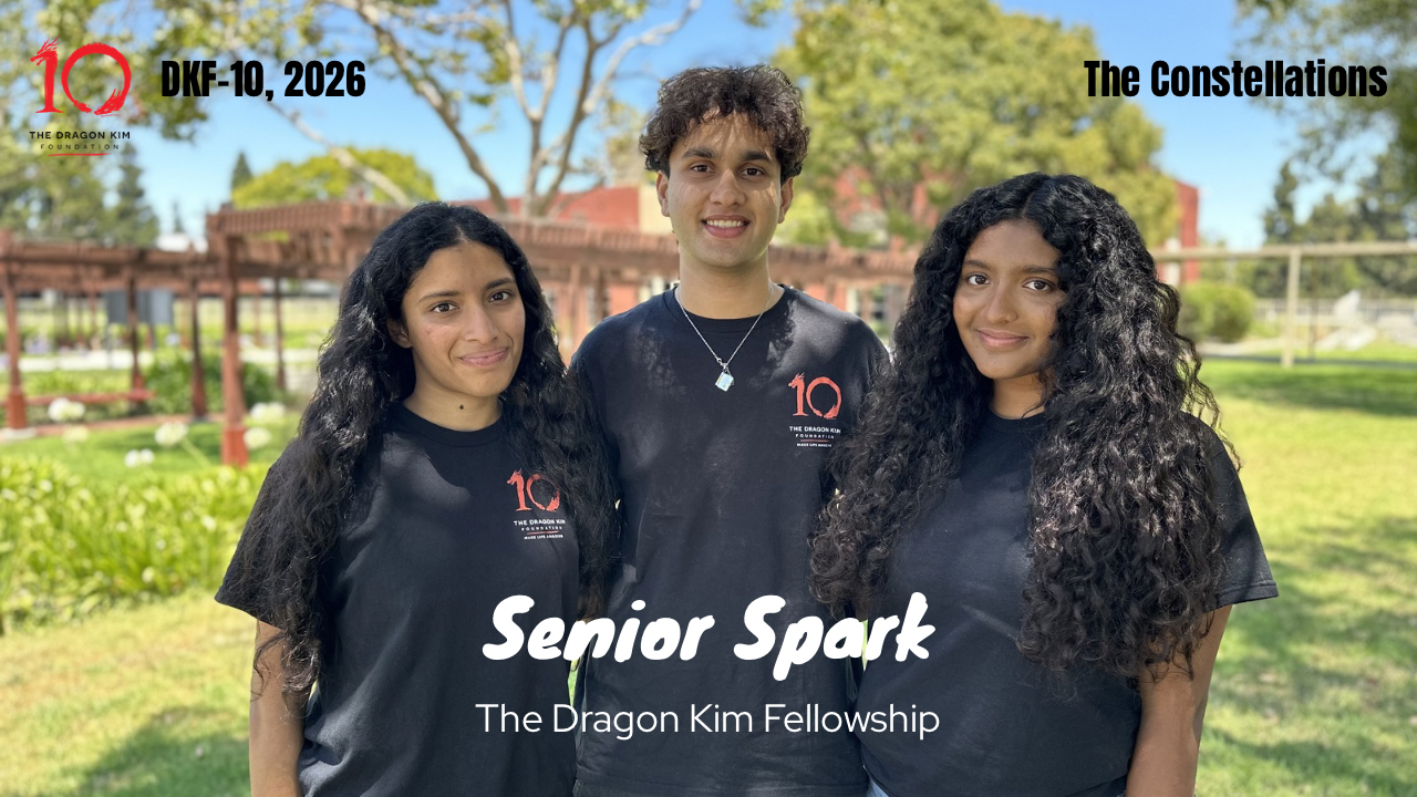 Senior Spark